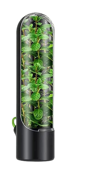 Örtbehållare för kylskåp – håll dina örter fräscha längre