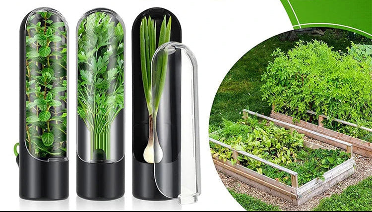 Örtbehållare för kylskåp – håll dina örter fräscha längre