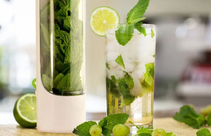 Örtbehållare för kylskåp – håll dina örter fräscha längre